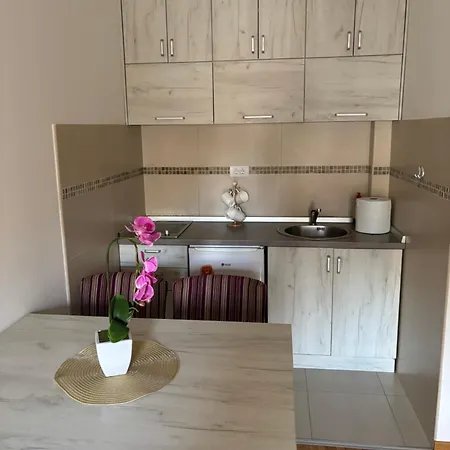 Anastasija * Zlatibor